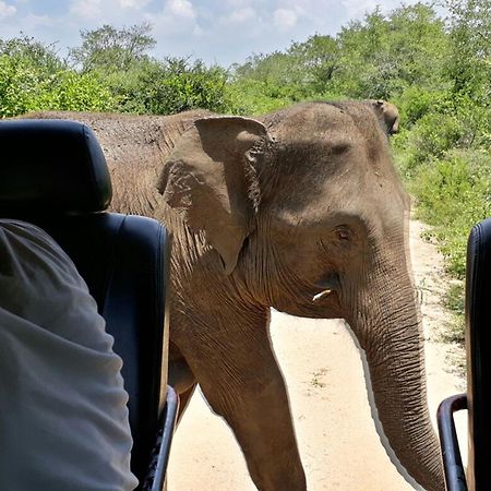 Hotel Big Game Udawalawe - By Eco Team Zewnętrze zdjęcie