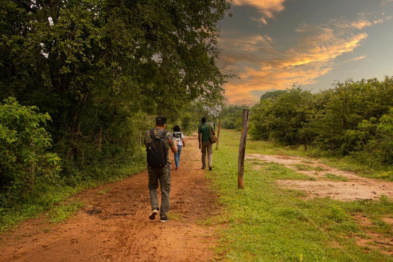 Hotel Big Game Udawalawe - By Eco Team Zewnętrze zdjęcie