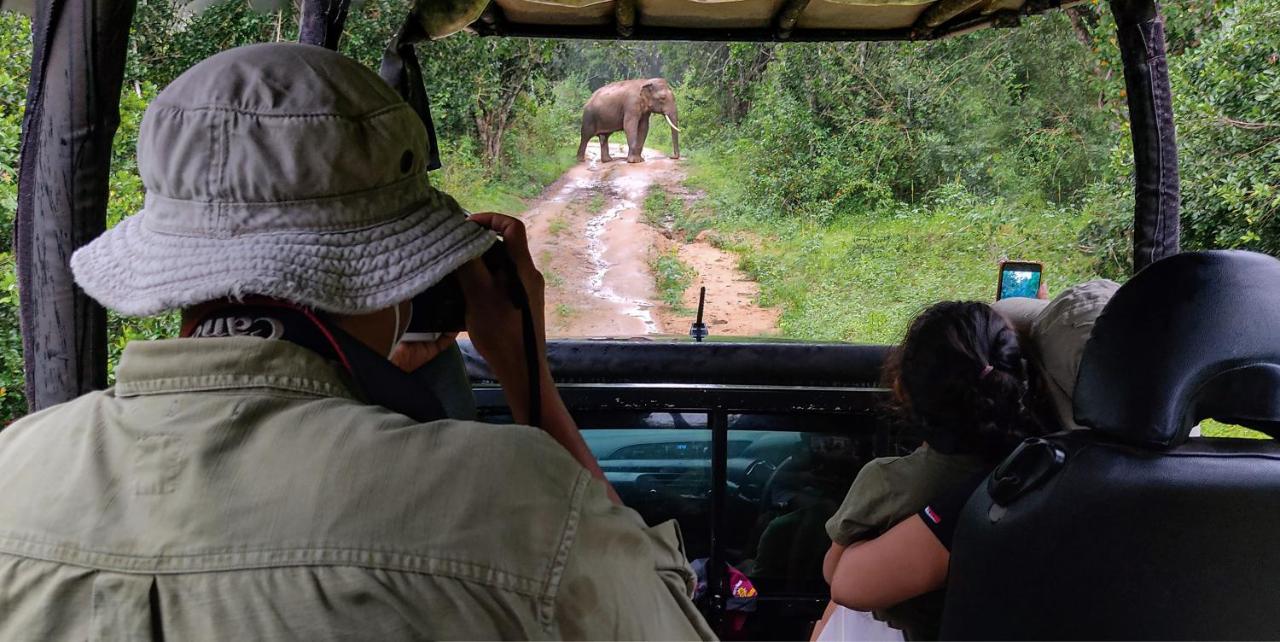 Hotel Big Game Udawalawe - By Eco Team Zewnętrze zdjęcie